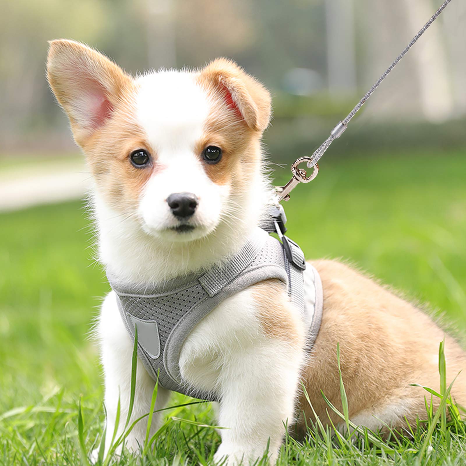 ahandmaker-pet-c-ble-attache-chien-10-m-acier-longe-ext-rieure image 6