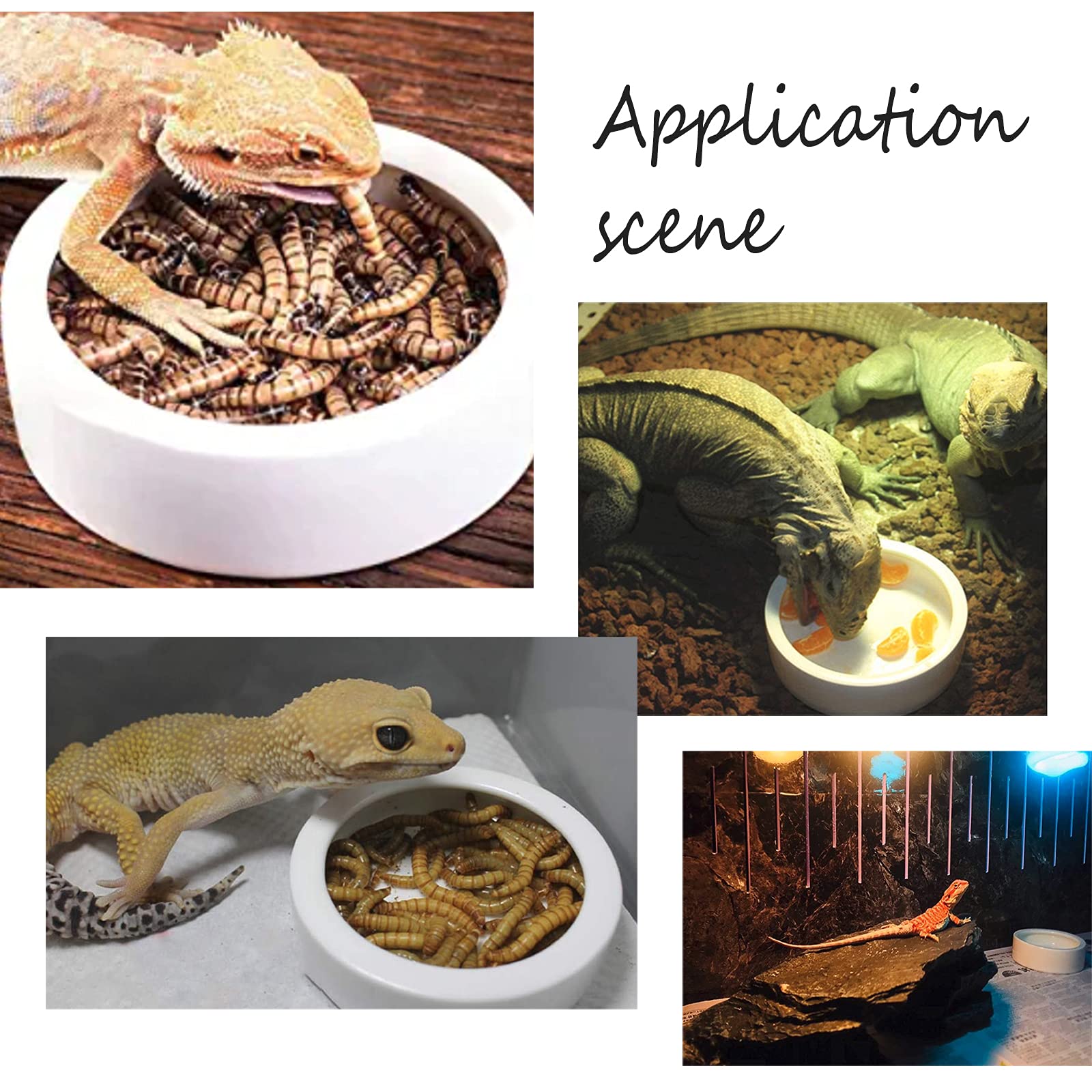 ahandmaker-pet-bol-reptile-c-ramique-anti-vasion-vers image 7