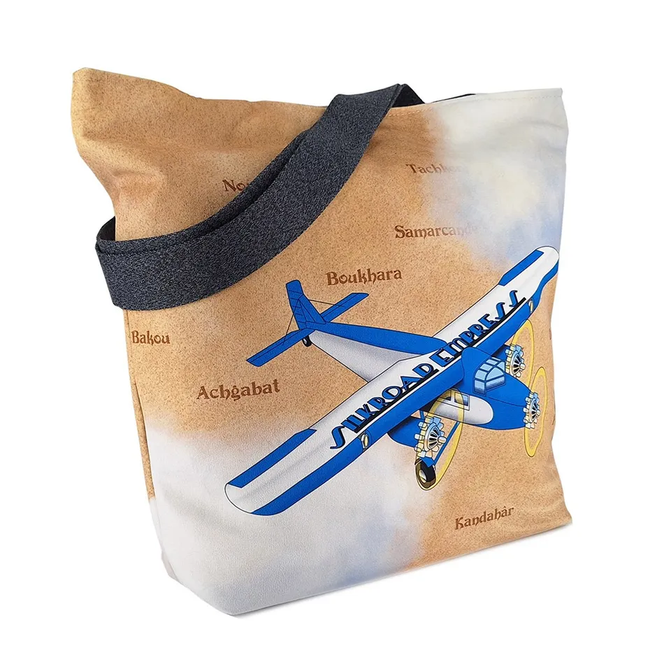 atelier-des-abcdaires-kit-grand-sac-zipp-ford-tin-goose-avion image 1