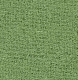 anni-downs-woven-wool-210-bowling-green-laine-tiss-e-verte image 1